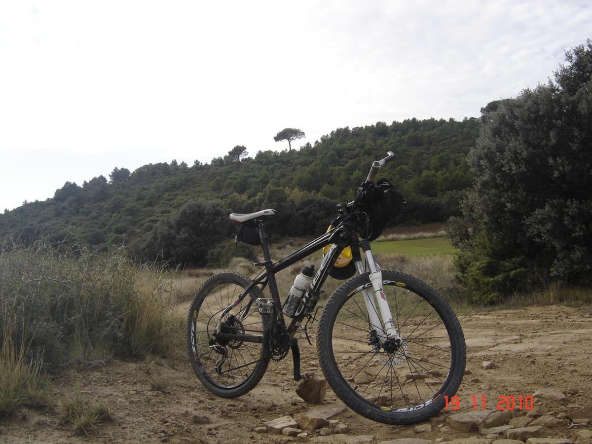 Villa El Pinar De Bardena Carcastillo Esterno foto