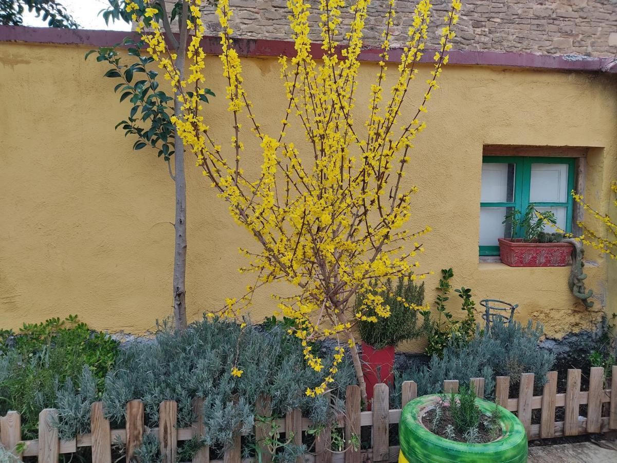 Villa El Pinar De Bardena Carcastillo Esterno foto