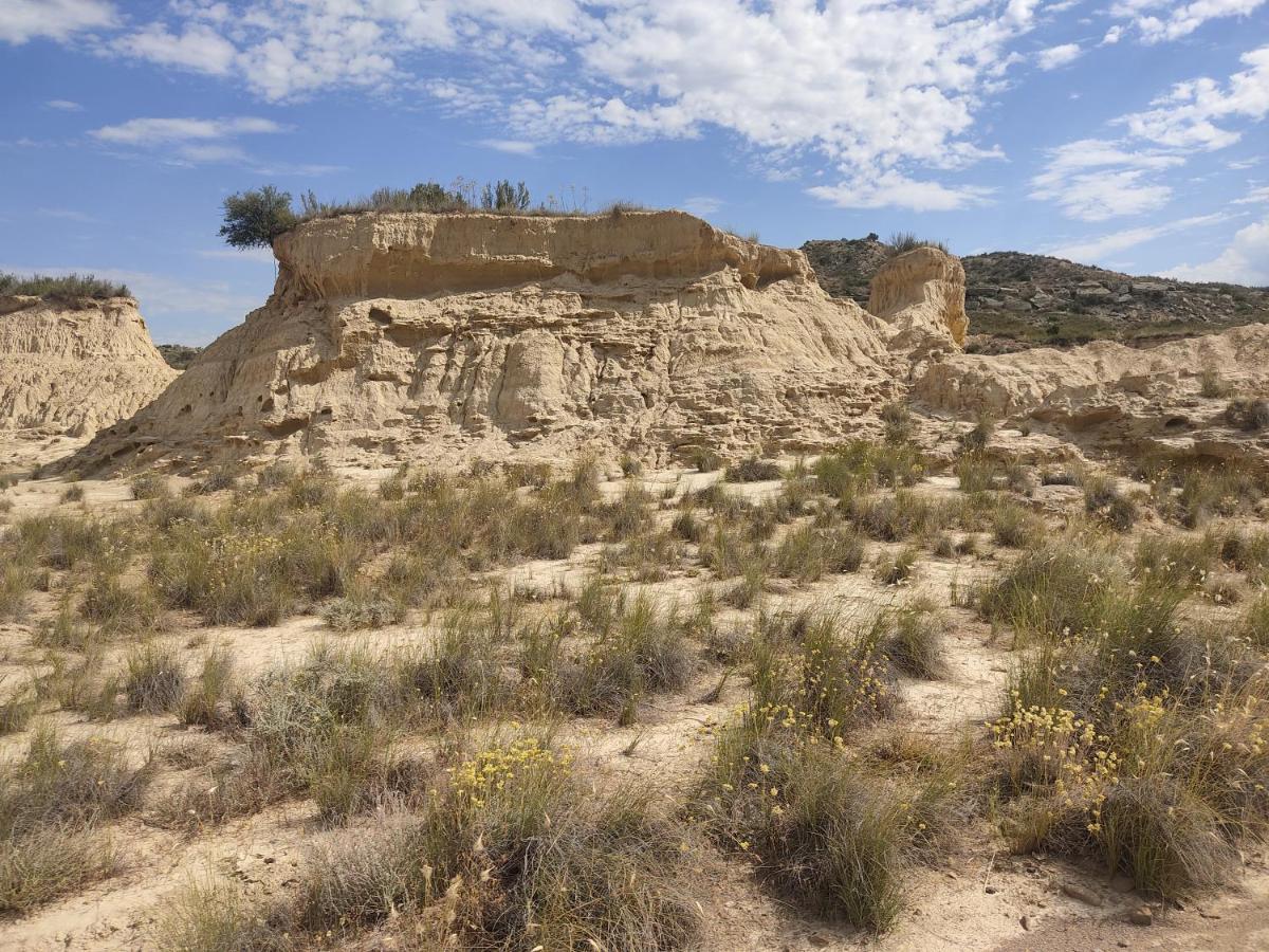 Villa El Pinar De Bardena Carcastillo Esterno foto