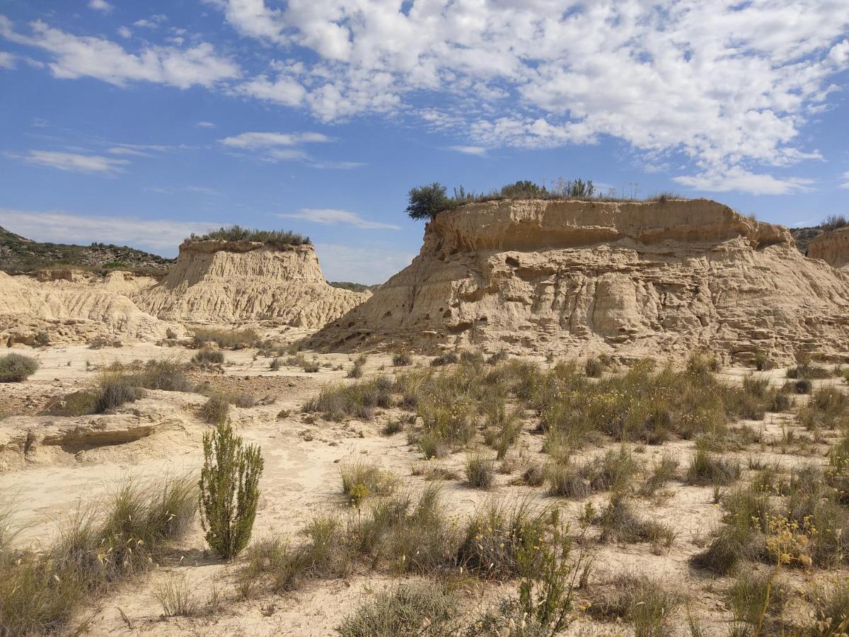 Villa El Pinar De Bardena Carcastillo Esterno foto